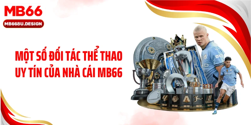 Một số đối tác thể thao uy tín của nhà cái MB66